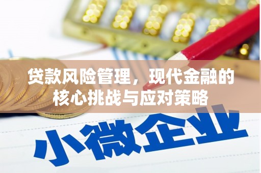 尖扎贷款风险管理，现代金融的核心挑战与应对策略