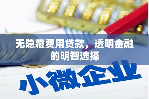 尖扎无隐藏费用贷款，透明金融的明智选择