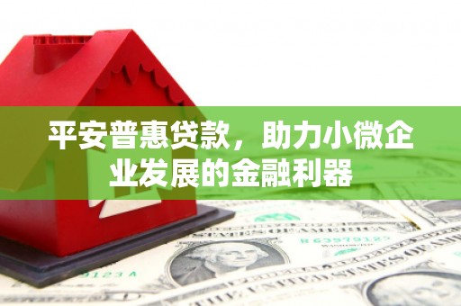尖扎平安普惠贷款，助力小微企业发展的金融利器