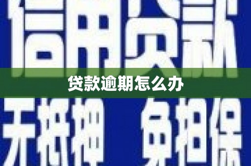 尖扎贷款逾期怎么办