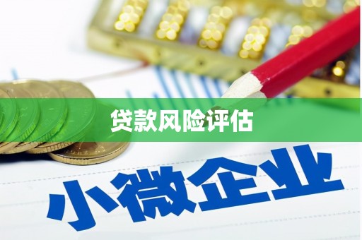 尖扎贷款风险评估