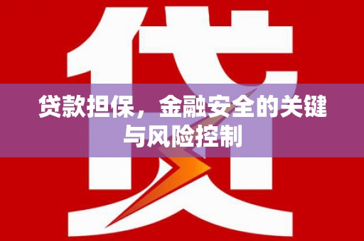 尖扎贷款担保，金融安全的关键与风险控制