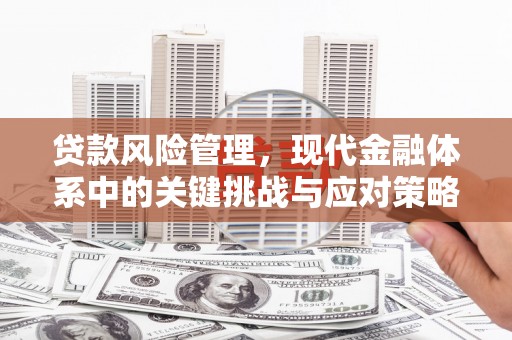 尖扎贷款风险管理，现代金融体系中的关键挑战与应对策略