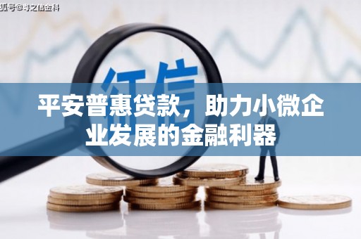 尖扎平安普惠贷款，助力小微企业发展的金融利器