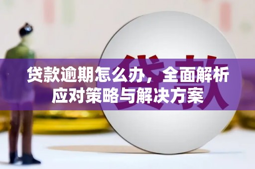 尖扎贷款逾期怎么办，全面解析应对策略与解决方案