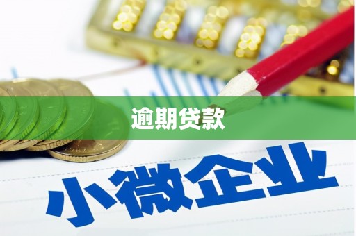 尖扎逾期贷款