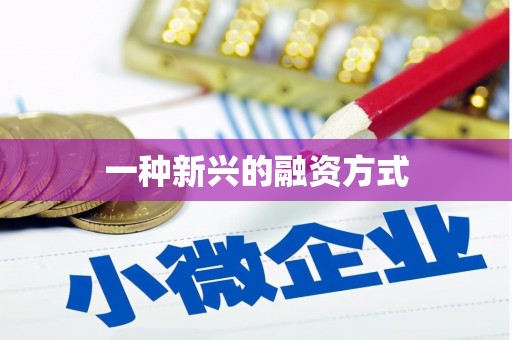 尖扎一种新兴的融资方式